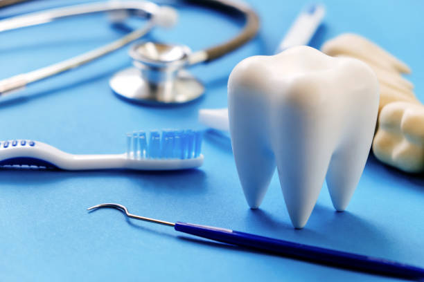 Professional Dental Services in Northdale, FL